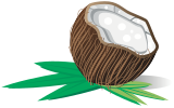 Kokosov oech