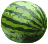 Vodn meloun