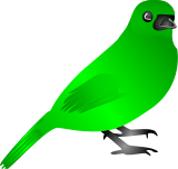 Zelen ptk