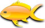Zlat ryba