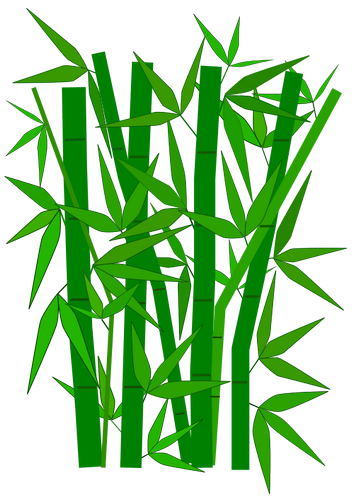 Vektorov obrzek, ilustran klipart Bambus zdarma ke staen, Rostliny vektor do vaich dokument