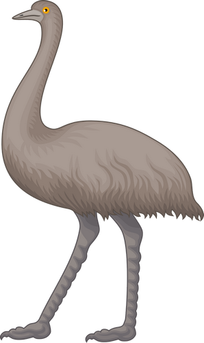 Vektorov obrzek, ilustran klipart Emu zdarma ke staen, Ptci vektor do vaich dokument