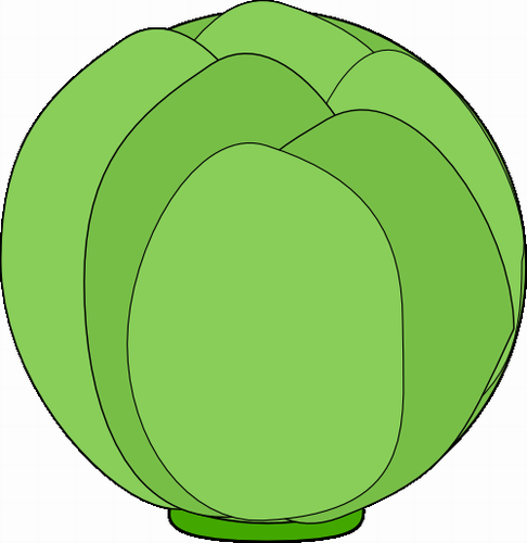 Vektorov obrzek, ilustran klipart Kapusta zdarma ke staen, Zelenina vektor do vaich dokument