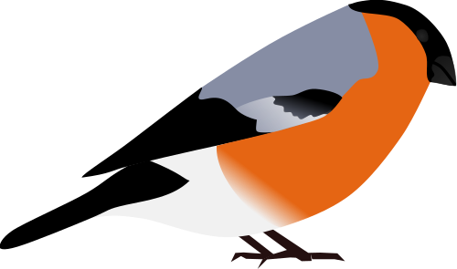 Vektorov obrzek, ilustran klipart Pnkava zdarma ke staen, Ptci vektor do vaich dokument