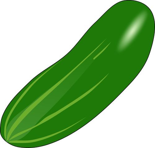 Vektorov obrzek, ilustran klipart Saltov okurka zdarma ke staen, Zelenina vektor do vaich dokument