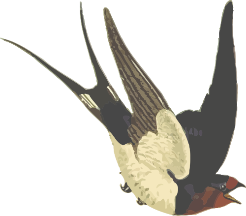 Vektorov obrzek, ilustran klipart Vlatovka zdarma ke staen, Ptci vektor do vaich dokument
