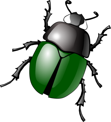 Vektorov obrzek, ilustran klipart Zelen brouk zdarma ke staen, Hmyz vektor do vaich dokument