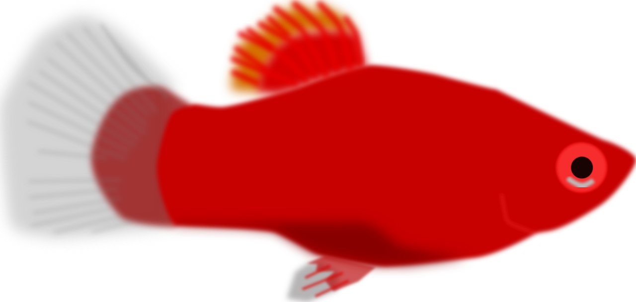 Vektorový obrázek, ilustrační klipart Akvarijní rybka v rozlišení 1280x608 pixelů zdarma ke stažení, Zvířata vektor do vašich dokumentů