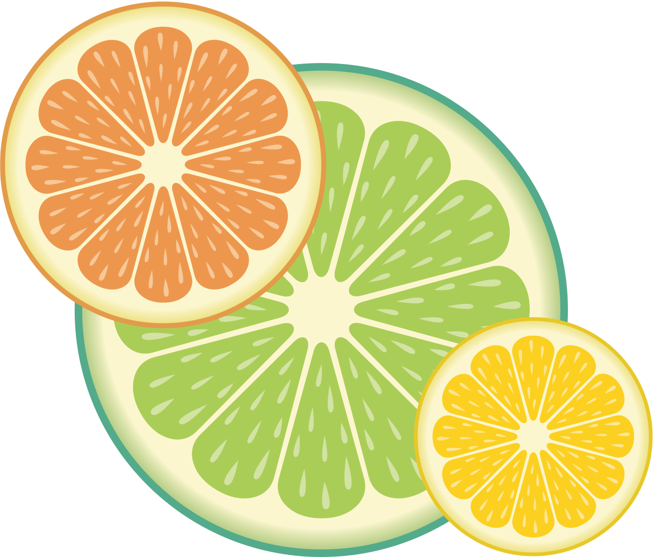 Vektorový obrázek, ilustrační klipart Citrusy v rozlišení 1280x1087 pixelů zdarma ke stažení, Ovoce vektor do vašich dokumentů