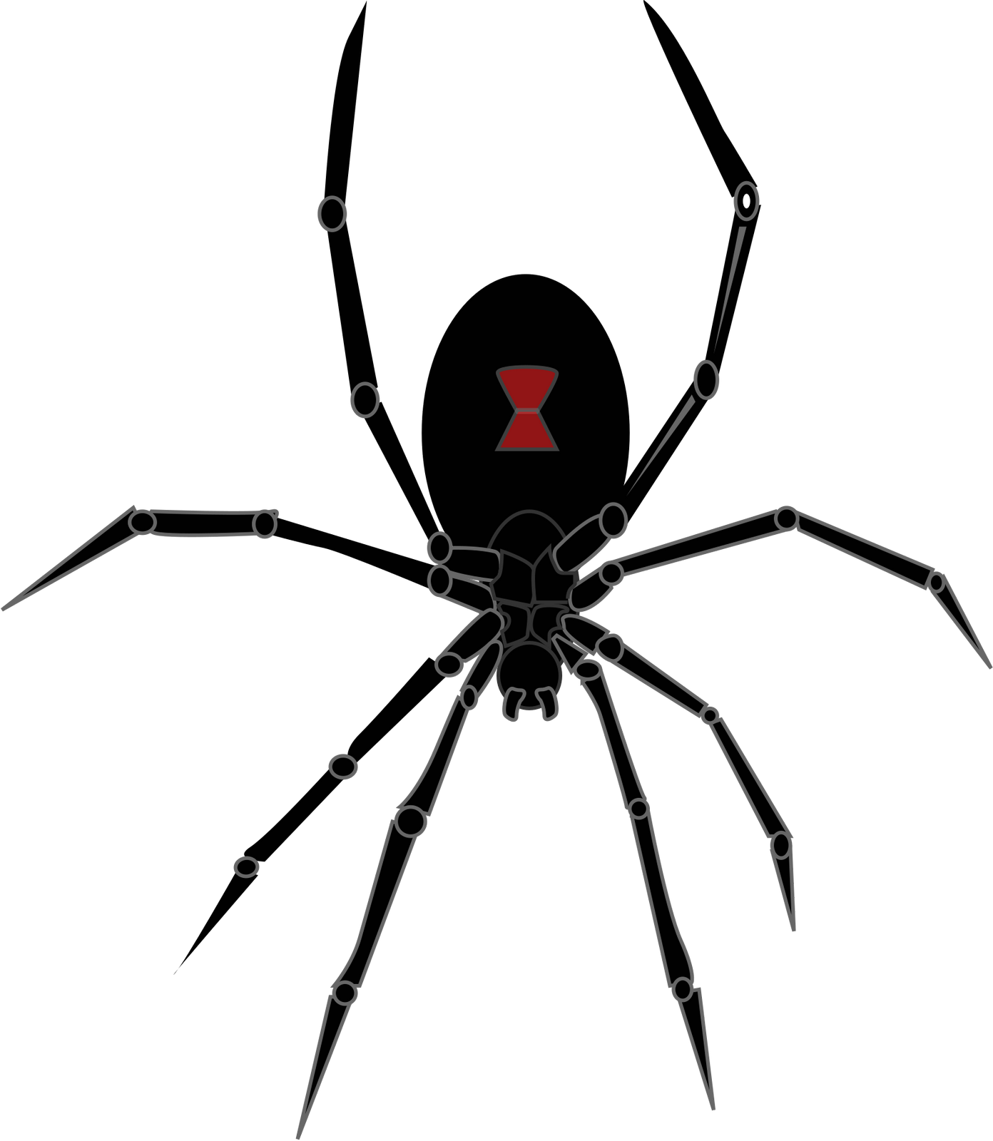 Vektorový obrázek, ilustrační klipart Černá vdova v rozlišení 1392x1600 pixelů zdarma ke stažení, Hmyz vektor do vašich dokumentů