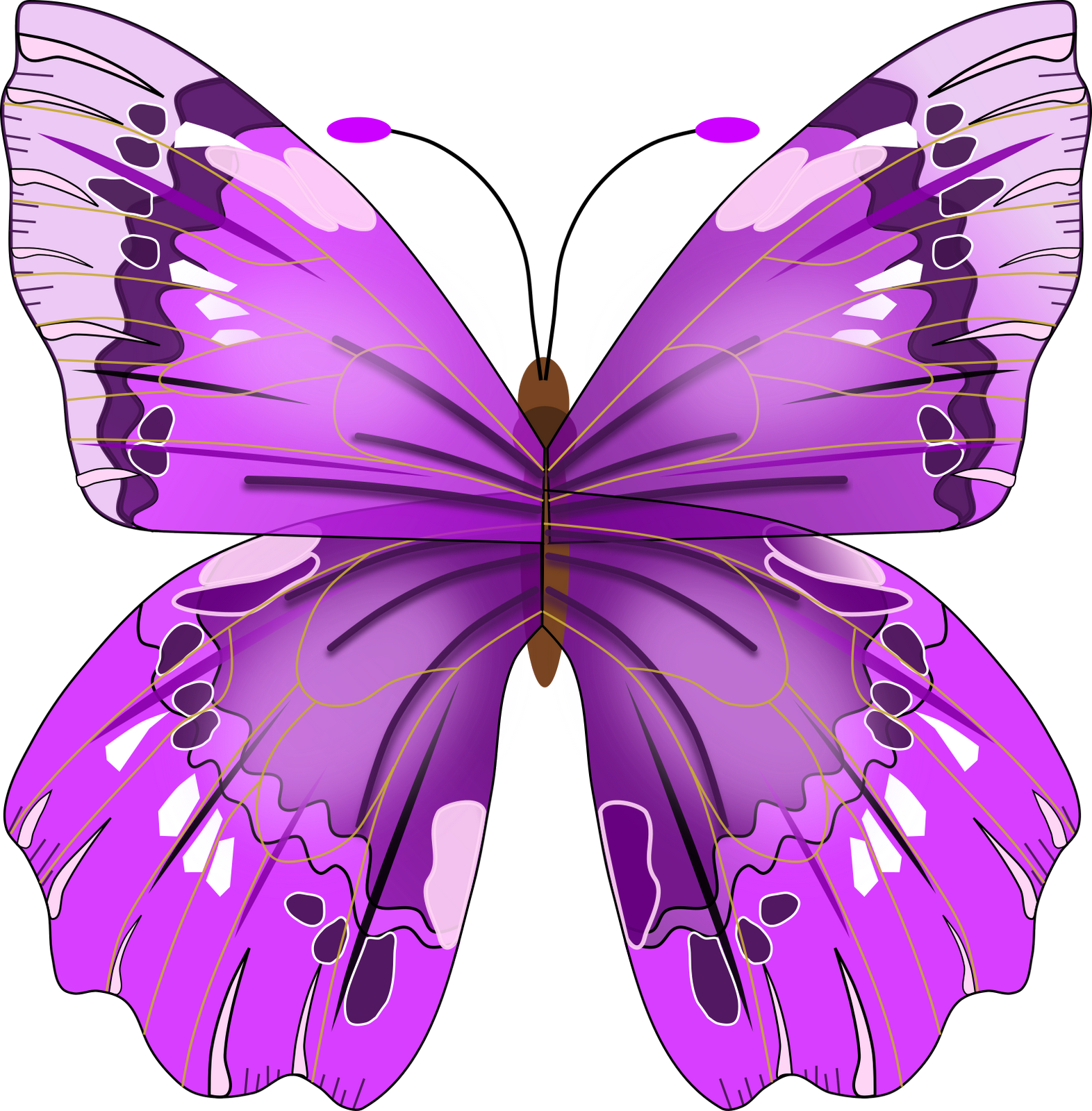 Vektorový obrázek, ilustrační klipart Fialový motýl v rozlišení 1572x1600 pixelů zdarma ke stažení, Hmyz vektor do vašich dokumentů