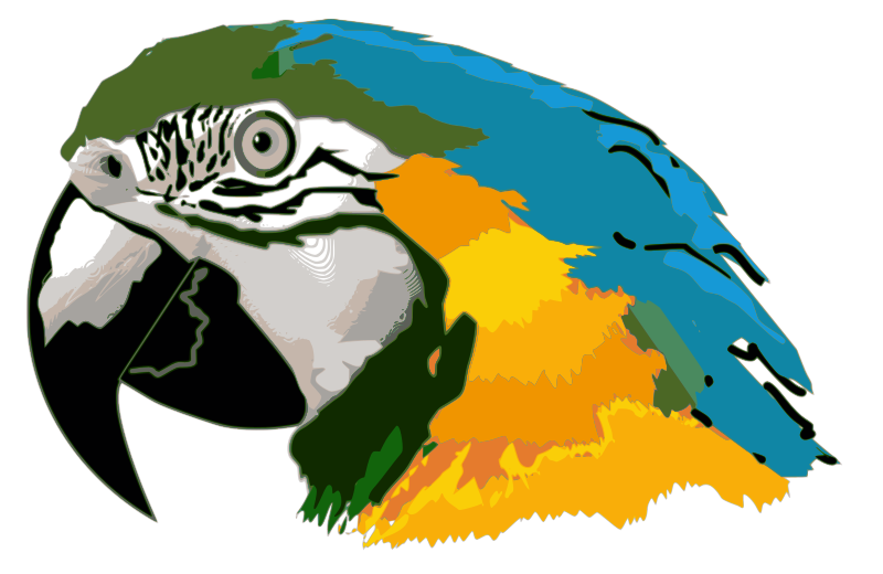 Vektorový obrázek, ilustrační klipart Arara v rozlišení 800x520 pixelů zdarma ke stažení, Ptáci vektor do vašich dokumentů
