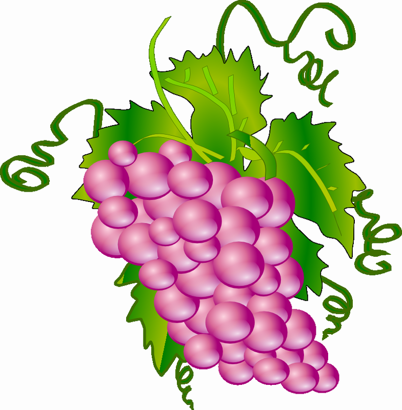Vektorový obrázek, ilustrační klipart Hroznové víno v rozlišení 784x800 pixelů zdarma ke stažení, Ovoce vektor do vašich dokumentů