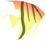 Vektorový obrázek, ilustrační klipart Akvarijní ryba ke stažení, Zvířata vektorový obrázek pro vaše dokumenty