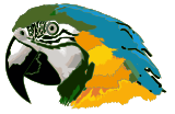 Vektorový obrázek, ilustrační klipart Arara ke stažení, Ptáci vektorový obrázek pro vaše dokumenty