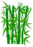 Vektorový obrázek, ilustrační klipart Bambus ke stažení, Rostliny vektorový obrázek pro vaše dokumenty