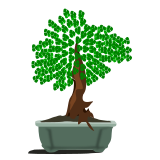 Vektorový obrázek, ilustrační klipart Bonsai ke stažení, Rostliny vektorový obrázek pro vaše dokumenty