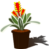 Vektorový obrázek, ilustrační klipart Bromélie ke stažení, Květiny vektorový obrázek pro vaše dokumenty