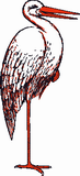 Vektorový obrázek, ilustrační klipart Čáp ke stažení, Ptáci vektorový obrázek pro vaše dokumenty