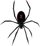 Vektorový obrázek, ilustrační klipart Černá vdova ke stažení, Hmyz vektorový obrázek pro vaše dokumenty