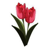 Vektorový obrázek, ilustrační klipart Červené tulipány ke stažení, Květiny vektorový obrázek pro vaše dokumenty