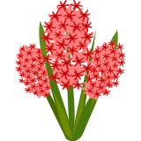 Vektorový obrázek, ilustrační klipart Červený hyacint ke stažení, Květiny vektorový obrázek pro vaše dokumenty
