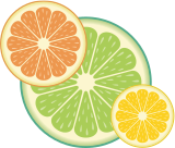 Vektorový obrázek, ilustrační klipart Citrusy ke stažení, Ovoce vektorový obrázek pro vaše dokumenty