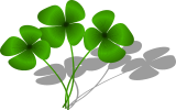 Vektorový obrázek, ilustrační klipart Čtyřlístky ke stažení, Rostliny vektorový obrázek pro vaše dokumenty