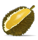 Vektorový obrázek, ilustrační klipart Durian ke stažení, Ovoce vektorový obrázek pro vaše dokumenty