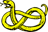 Vektorový obrázek, ilustrační klipart Had ke stažení, Zvířata vektorový obrázek pro vaše dokumenty