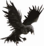Vektorový obrázek, ilustrační klipart Havran ke stažení, Ptáci vektorový obrázek pro vaše dokumenty