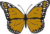 Vektorový obrázek, ilustrační klipart Hnědý motýl ke stažení, Hmyz vektorový obrázek pro vaše dokumenty