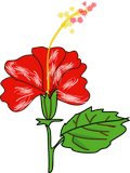 Vektorový obrázek, ilustrační klipart Ibišek ke stažení, Květiny vektorový obrázek pro vaše dokumenty