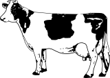 Vektorový obrázek, ilustrační klipart Kráva ke stažení, Zvířata vektorový obrázek pro vaše dokumenty