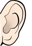 Lidsk ucho