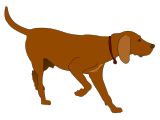 Vektorový obrázek, ilustrační klipart Lovecký pes ke stažení, Zvířata vektorový obrázek pro vaše dokumenty