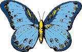 Vektorový obrázek, ilustrační klipart Motýl ke stažení, Hmyz vektorový obrázek pro vaše dokumenty