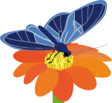 Vektorový obrázek, ilustrační klipart Motýl na květu ke stažení, Hmyz vektorový obrázek pro vaše dokumenty