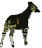 Vektorový obrázek, ilustrační klipart Okapi ke stažení, Zvířata vektorový obrázek pro vaše dokumenty