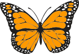 Oranžový motýl
