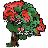 Pohutukawa