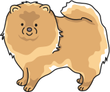 Vektorový obrázek, ilustrační klipart Pomeranian ke stažení, Zvířata vektorový obrázek pro vaše dokumenty