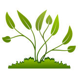 Vektorový obrázek, ilustrační klipart Rostlina ke stažení, Rostliny vektorový obrázek pro vaše dokumenty