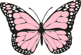 Růžový motýl