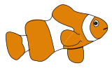 Ryba klaun