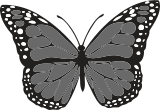 Šedivý motýl