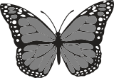 Vektorový obrázek, ilustrační klipart Šedý motýl ke stažení, Hmyz vektorový obrázek pro vaše dokumenty