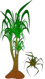 Vektorový obrázek, ilustrační klipart Sloní noha ke stažení, Rostliny vektorový obrázek pro vaše dokumenty
