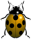 Vektorový obrázek, ilustrační klipart Slunéčko ke stažení, Hmyz vektorový obrázek pro vaše dokumenty
