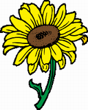 Vektorový obrázek, ilustrační klipart Slunečnice ke stažení, Květiny vektorový obrázek pro vaše dokumenty